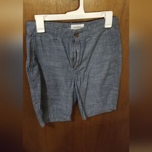 Goodfellow & Co Blue Flat Front Shorts
